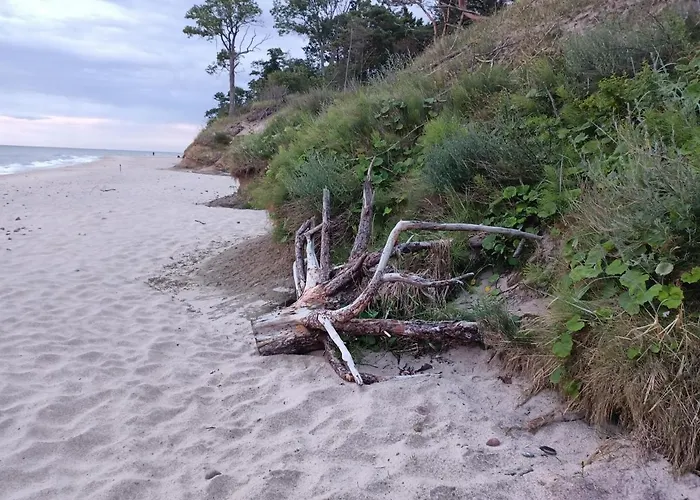 Alpesi faház Karla *